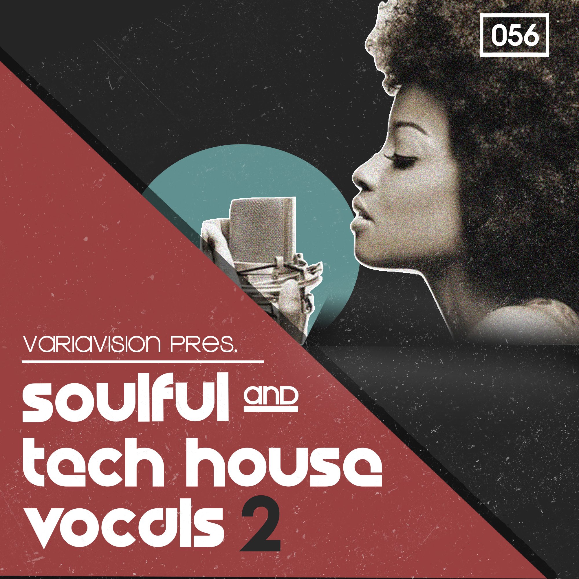 Bingoshakerz Soulful And Tech House Vocals 2 PreSonus Shop